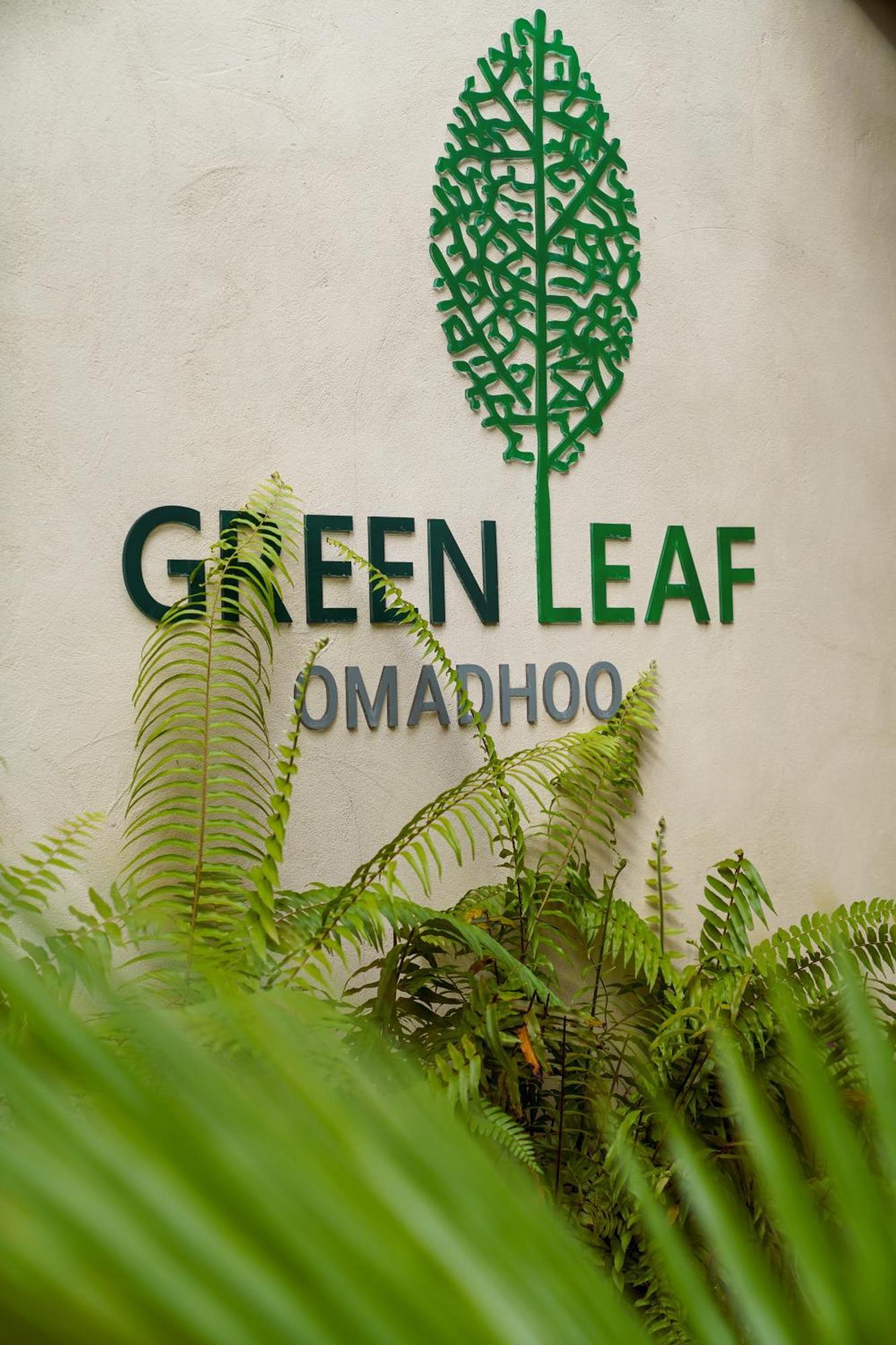 Green Leaf Guest House - Omadhoo 외부 사진